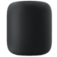 Apple HomePod Space Gray