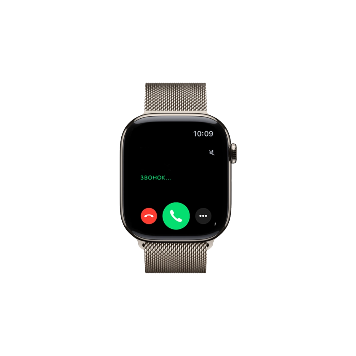 Фото Часы Apple Watch Series 11, 42 мм, титан светлый, миланский сетчатый браслет